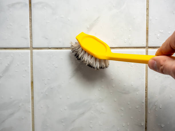 Best Professional Mold Removal  in Wilsonville, AL