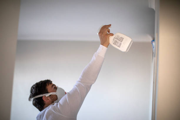 Best Local Mold Removal Service  in Wilsonville, AL